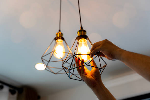 Best Best Electricians Near Me  in Lake Wazeecha, WI