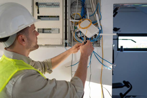Best Electric Panel Repair  in Lake Wazeecha, WI